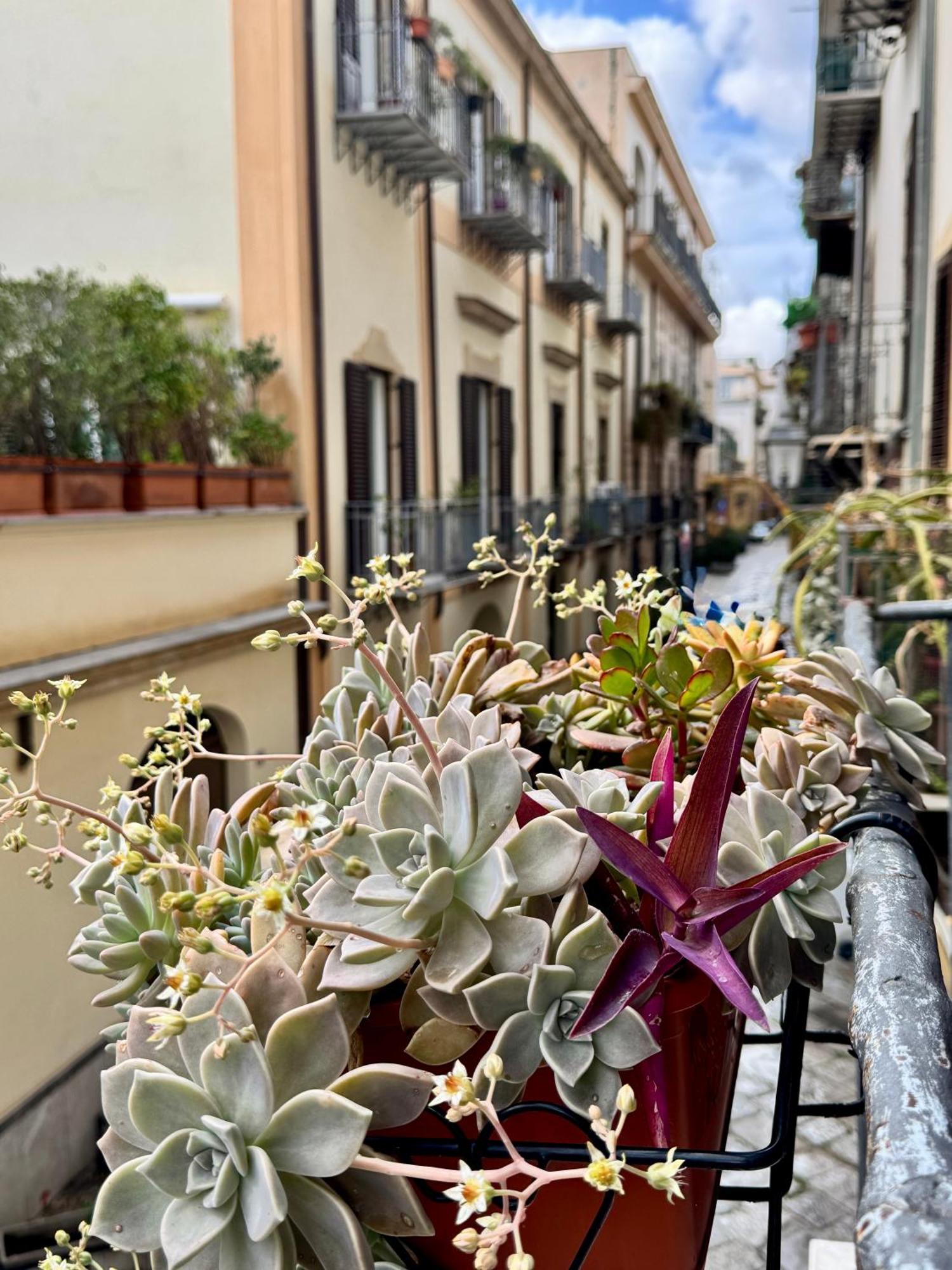 Vetriera Home Palermo Buitenkant foto